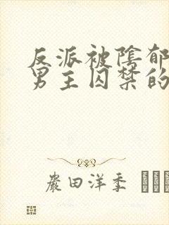 反派被阴郁疯批男主囚禁的小说