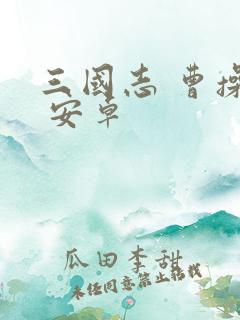 三国志 曹操传 安卓