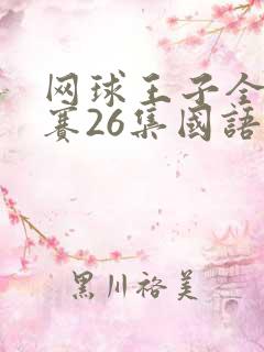 网球王子全国大赛26集国语