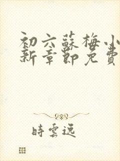 初六苏梅小说最新章节免费阅读