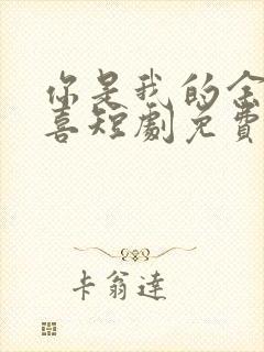 你是我的余生欢喜短剧免费观看全集