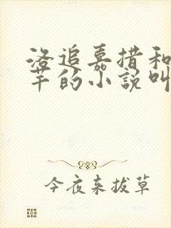 洛追嘉措和陆芊芊的小说叫什么