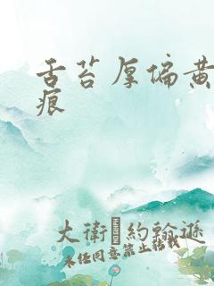 舌苔厚偏黄有齿痕