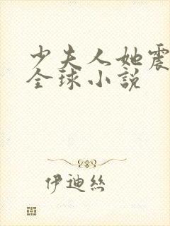 少夫人她震惊了全球小说