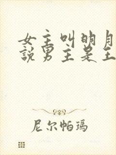 女主叫明月的小说男主是王爷