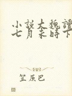 小说大魏读书人七月未时下装电子书