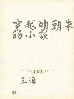 穿越明朝朱慈r的小说