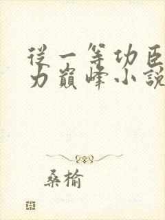 从一等功臣到权力巅峰小说