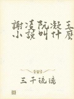 谢凌阮凝玉原著小说叫什么