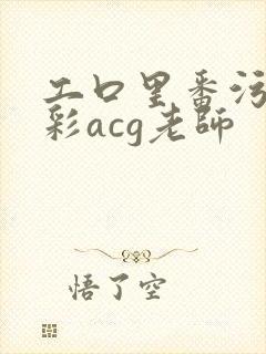 工口里番污肉全彩acg老师