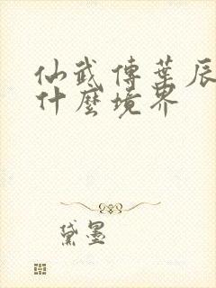 仙武传叶辰最后什么境界