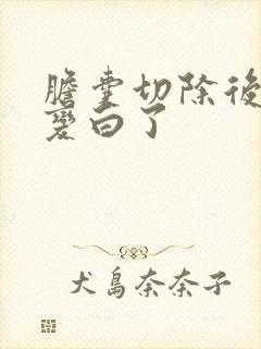 胆囊切除后皮肤变白了