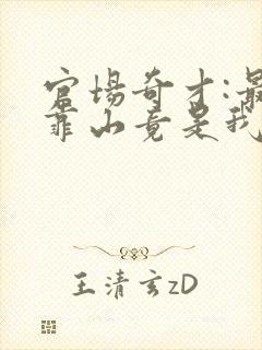 官场奇才:最强靠山竟是我自己李澜小说免