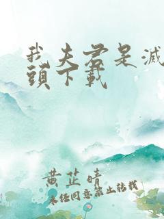 我夫君是灭世魔头下载