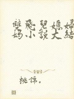 双飞儿媳妇和她妈小说大结局