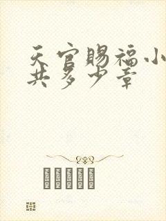 天官赐福小说一共多少章