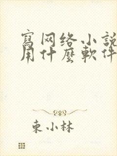 写网络小说一般用什么软件