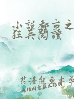 小说都市之最强狂兵阅读