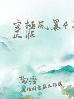 究极风暴4手机正版