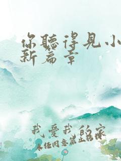 你听得见小说最新篇章