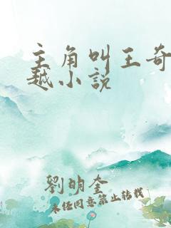 主角叫王奇的穿越小说