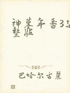 神墓年番3集完整版
