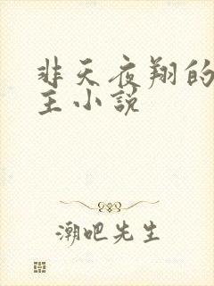 非天夜翔的双男主小说