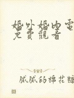 婚外婚内电视剧免费观看