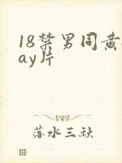 18禁男同黄gay片
