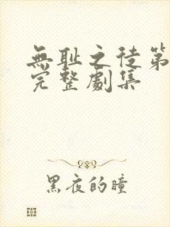 无耻之徒第二季完整剧集