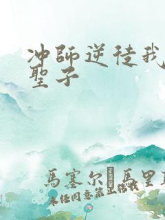 冲师逆徒我不是圣子