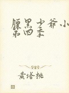 腹黑少爷小甜妻第四季