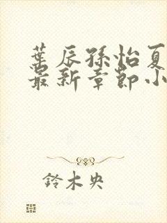 叶辰孙怡夏若雪最新章节小说