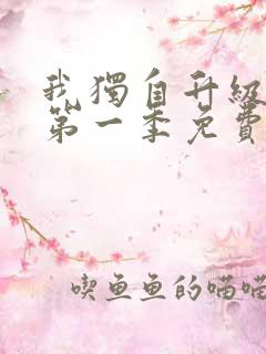 我独自升级动漫第一季免费