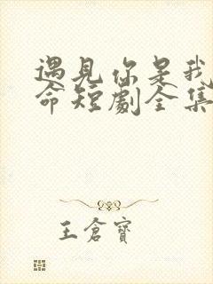 遇见你是我的宿命短剧全集免费播放