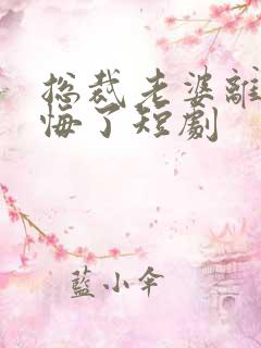 总裁老婆离婚后悔了短剧