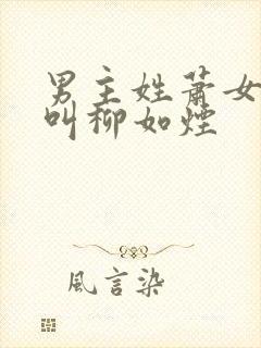 男主姓萧女主角叫柳如烟