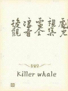 后浪电视剧在线观看全集免费播放