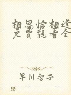 相思恰相逢短剧免费观看全集