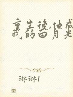 重生后,他成了我的白月光网络小说