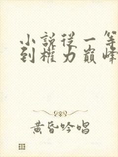 小说从一等功臣到权力巅峰