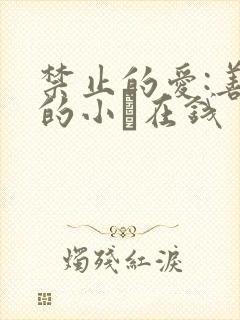 禁止的爱:善良的小峓在钱