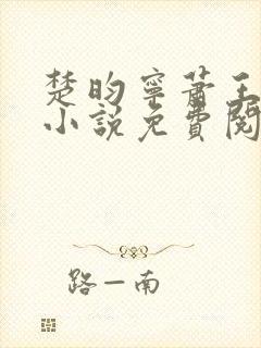 楚昀宁萧王穿越小说免费阅读