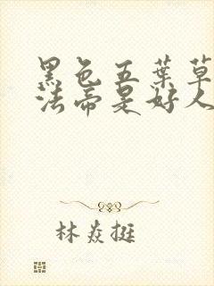 黑色五叶草的魔法帝是好人吗