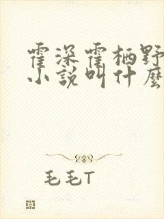 霍深霍栖野夏稚小说叫什么名字