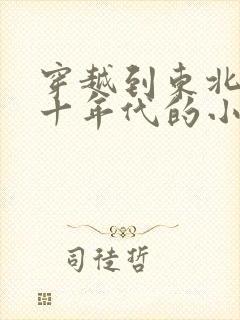 穿越到东北的六十年代的小说