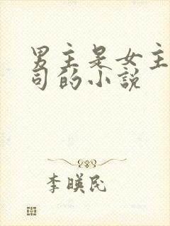 男主是女主的上司的小说