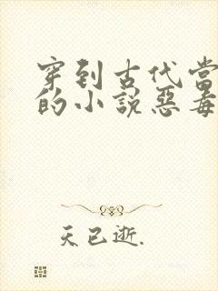 穿到古代当后妈的小说恶毒