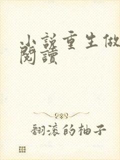 小说重生做皇帝阅读