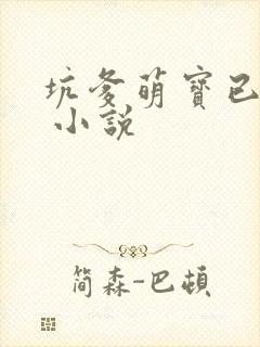 坑爹萌宝已上线 小说